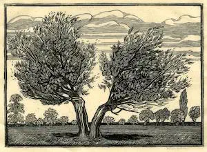 Two Trees